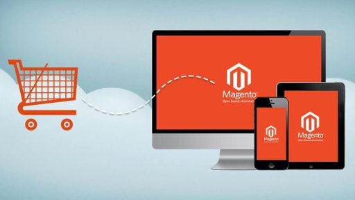 Magento Websitesi Geliştirme Hizmetleri