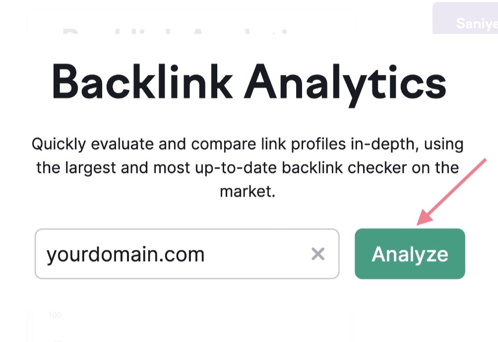 backlink analizi